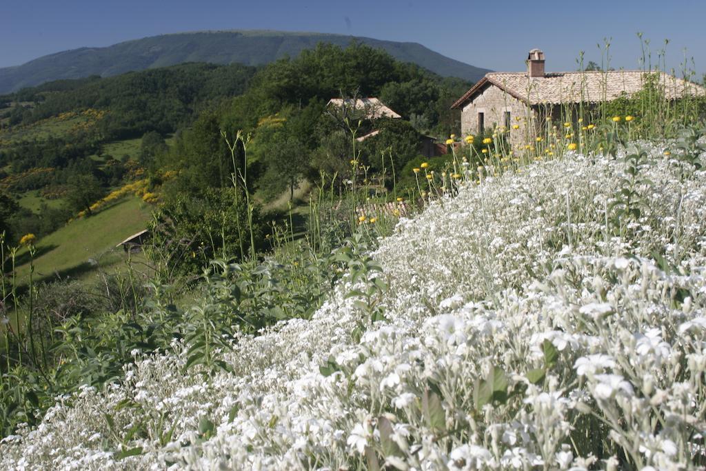산타 마리아 리냐노 Casa Rosa 게스트하우스 외부 사진