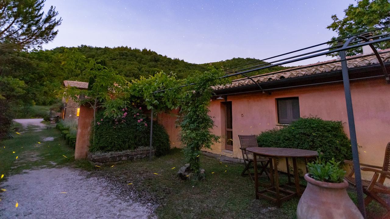 산타 마리아 리냐노 Casa Rosa 게스트하우스 외부 사진
