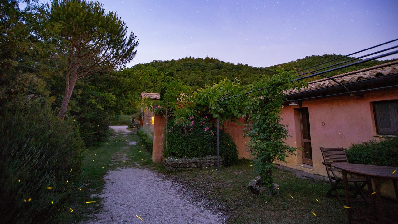 산타 마리아 리냐노 Casa Rosa 게스트하우스 외부 사진